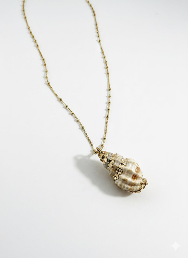Gold Plated Seashell Bead Chain