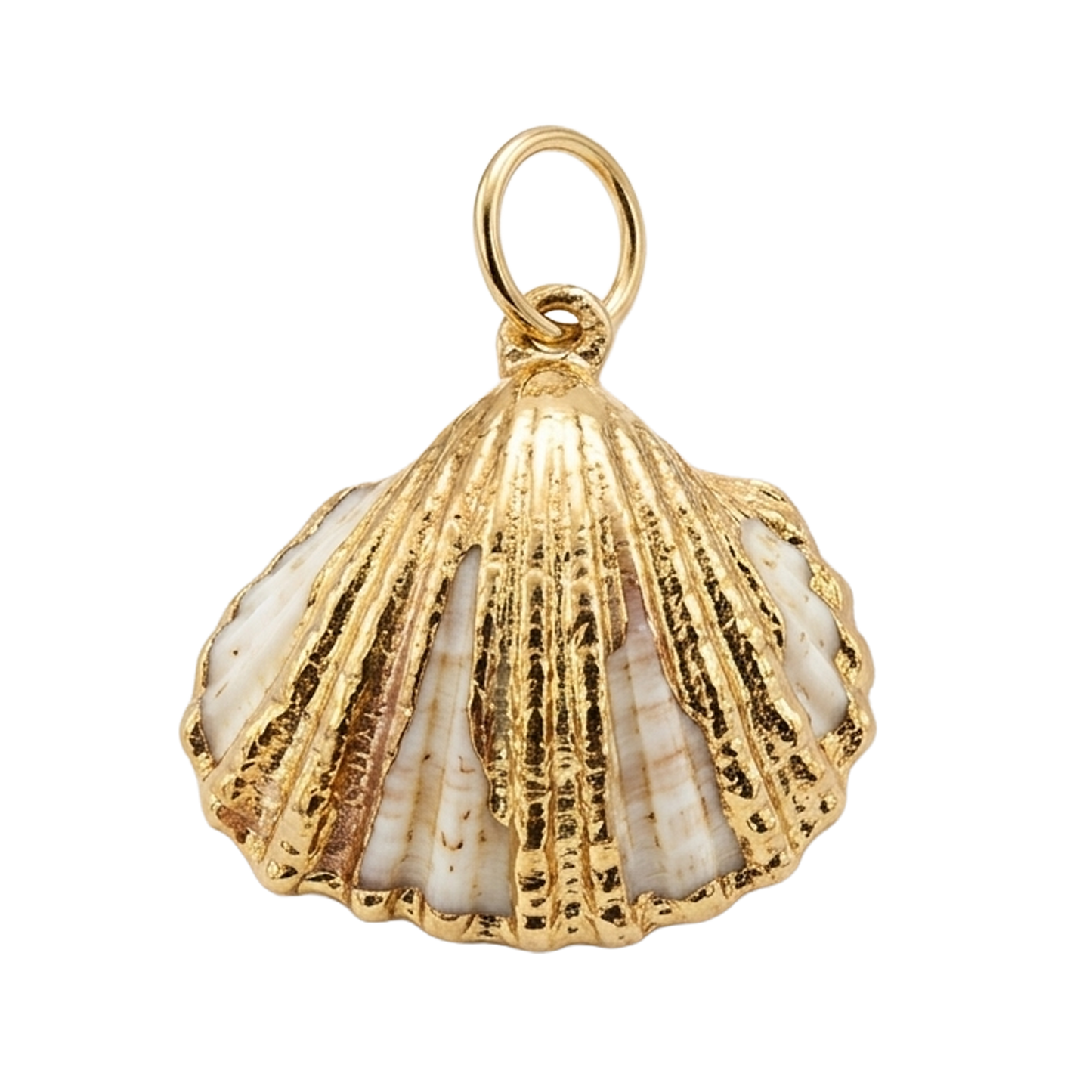 Seashell