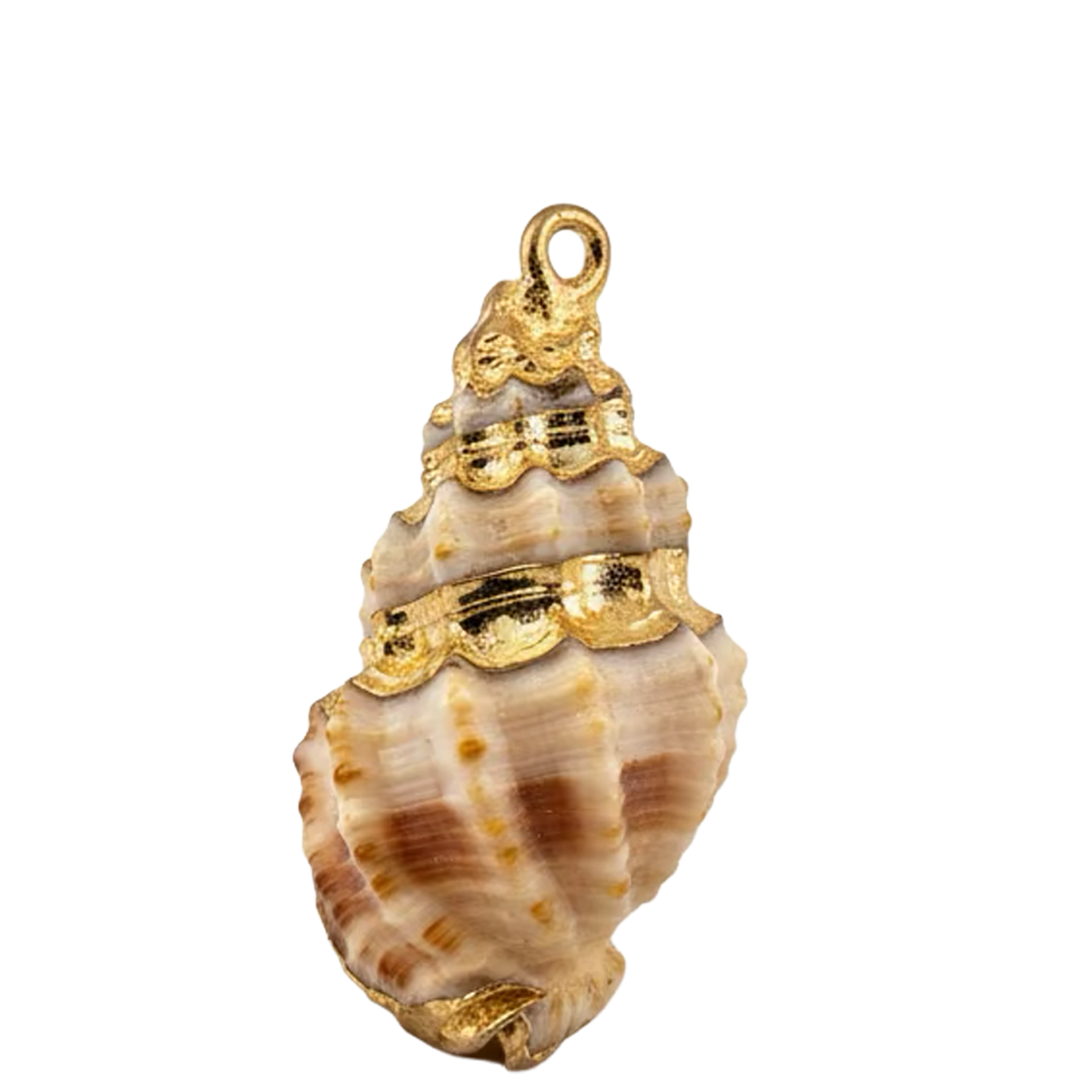 Seashell