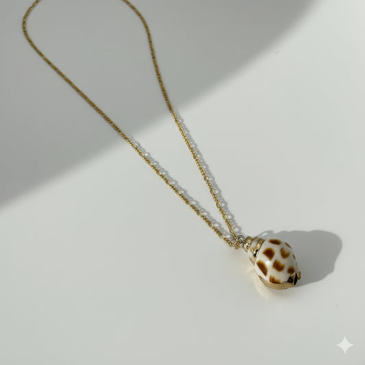 Minimalist Coastal Charm