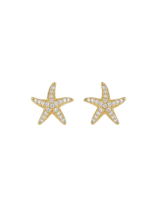 Marina Starfish Studs