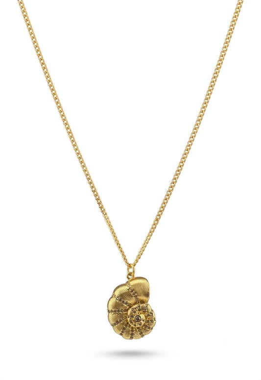 Nautilus Seashell Pendant Necklace