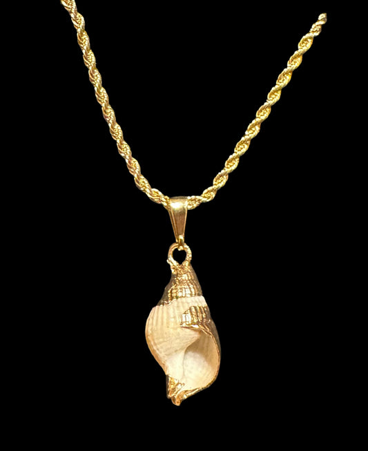 Natural Sea Shell Pendant