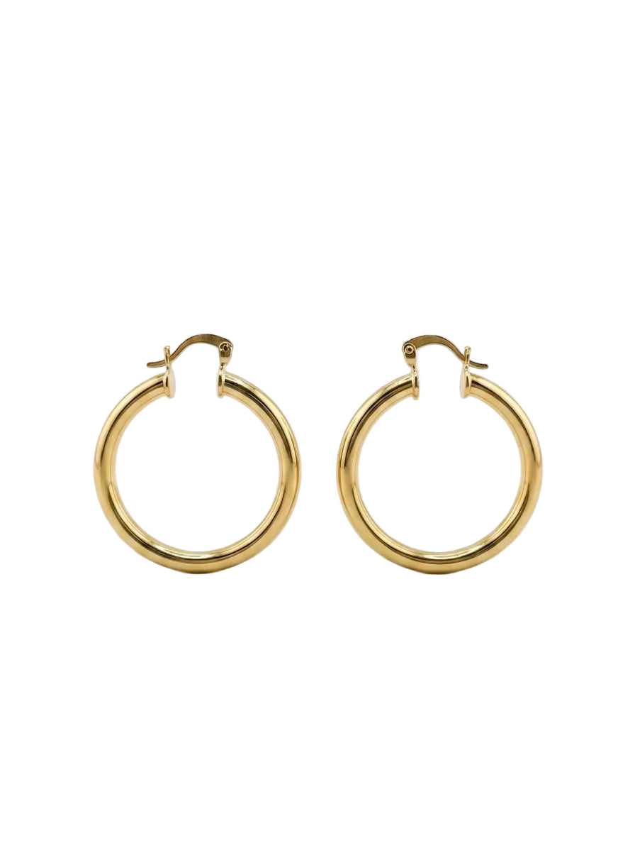Essential Hoops