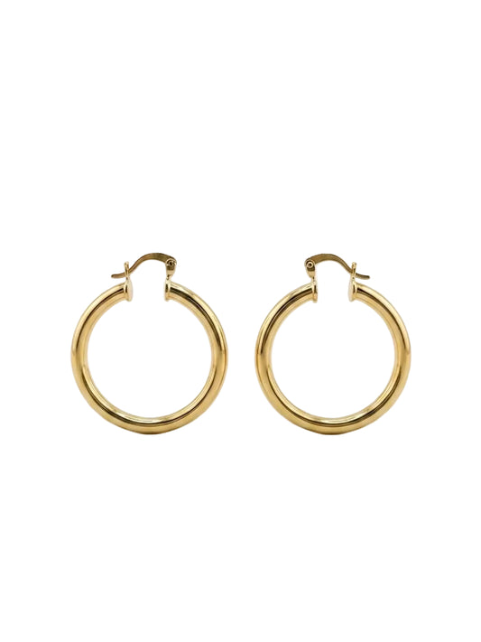 Essential Hoops