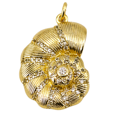 Sea Shell