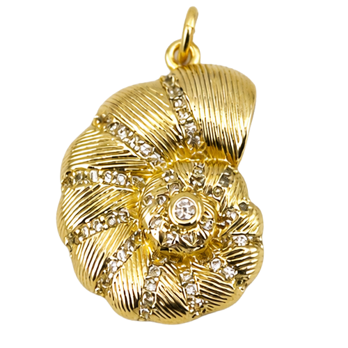 Sea Shell