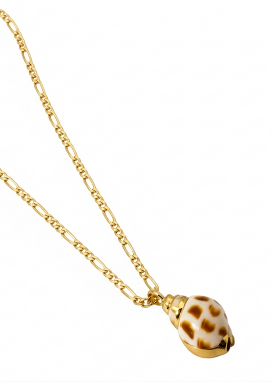 Minimalist Coastal Charm