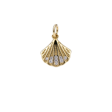 Seashell