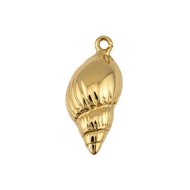Seashell -plain