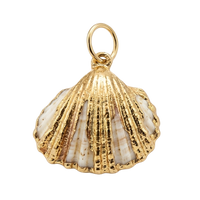 GFC -020 (real seashell)